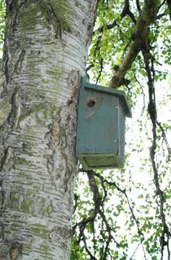 St. George's Park bird box and wildlife project